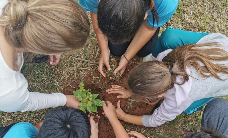 CENAS DE PLANTAÇÃO