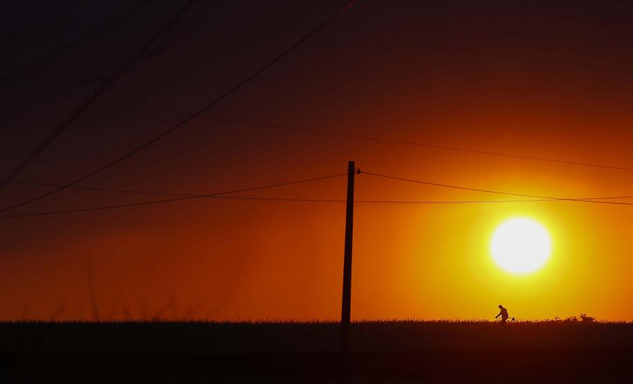 VEGETAÇÃO AO POR DO SOL