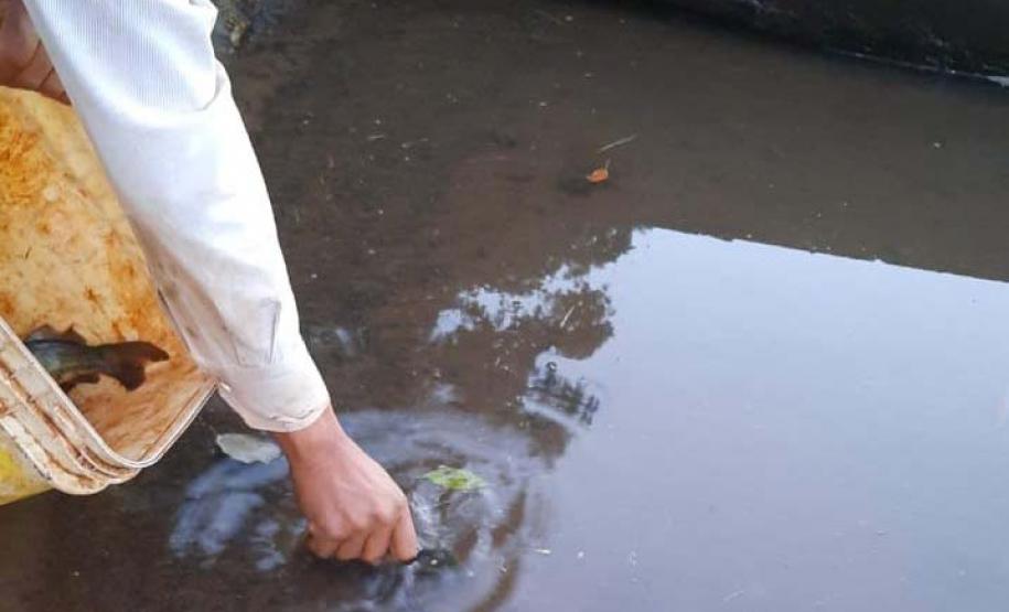 TECNICO DO IAT DEVOLVENDO PEIXE A AGUA