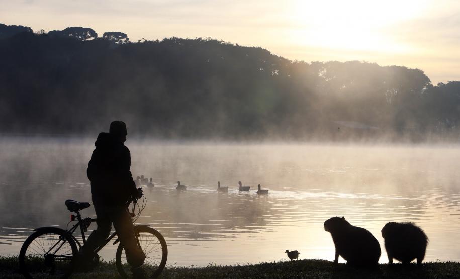 SILHUETA DE UM CICLISTA PASSANDO AO LADO DE CAPIVARAS NO PARQUE BARIGUI COM O SOL NASCENDO AO FUNDO