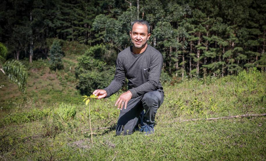 Homem frente a um árvore plantada