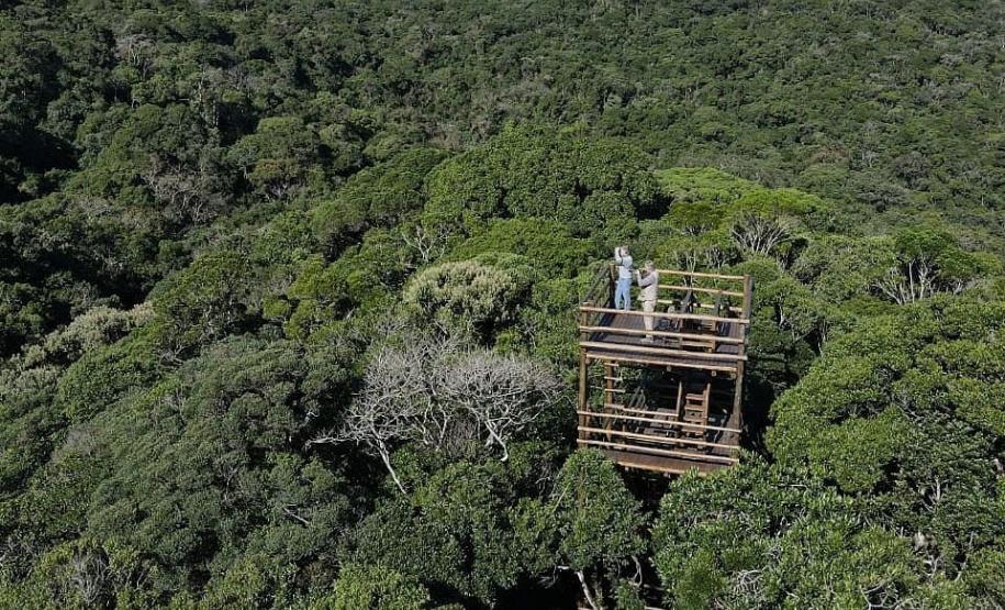 DUAS PESSOAS EM UMA ESTRUTURA DE MADEIRA RODEADA PELA VEGETAÇÃO PARANAENSE