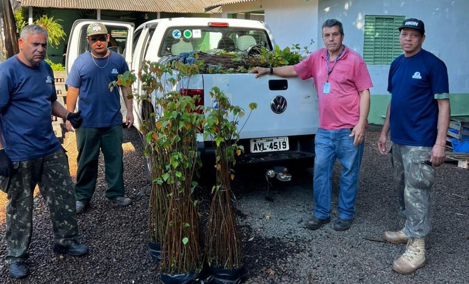 SERVIDORES POSANDO PARA FOTO COM MUDAS