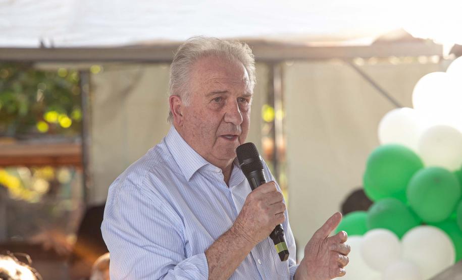 DIRETOR-PRESIDENTE DO IAT