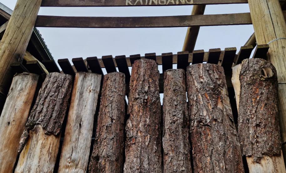 Foto de estrutura da Floresta Estadual Metropolitana