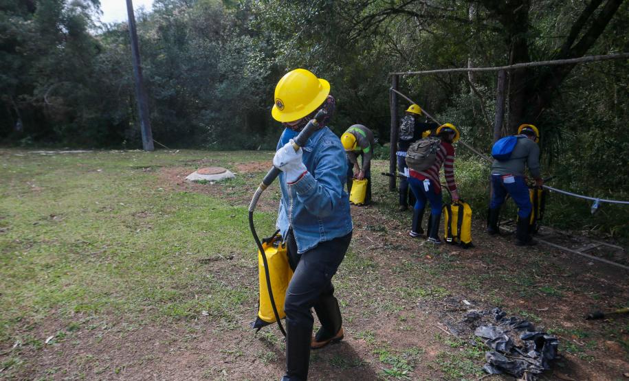 Foto de voluntários durante exercício de capacitação de brigadistas