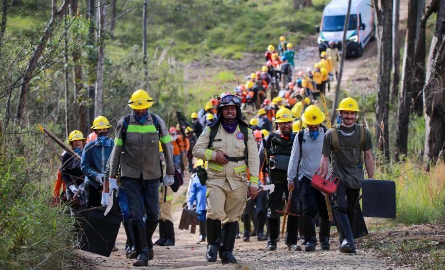Foto de voluntários durante exercício de capacitação de brigadistas