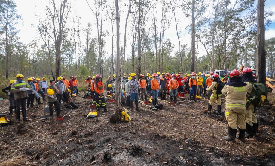 Foto de voluntários durante exercício de capacitação de brigadistas