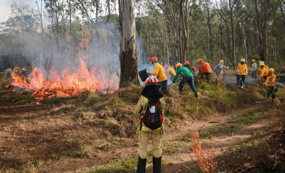 Foto de voluntários durante exercício de capacitação de brigadistas