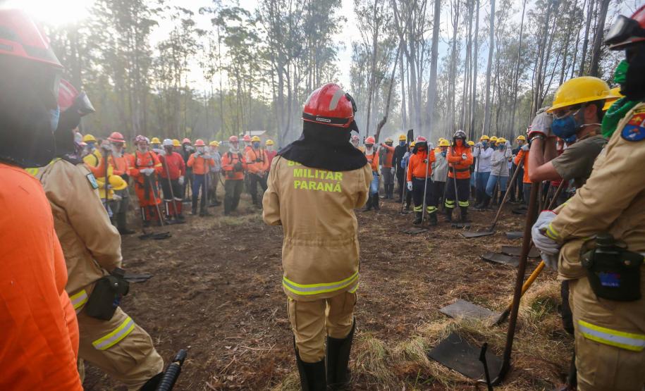 Foto de voluntários durante exercício de capacitação de brigadistas