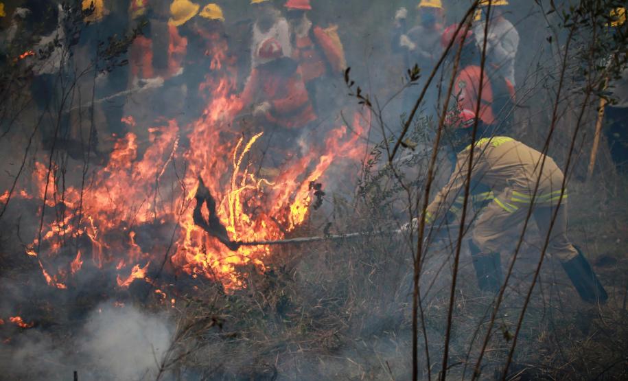 Foto de voluntários durante exercício de capacitação de brigadistas
