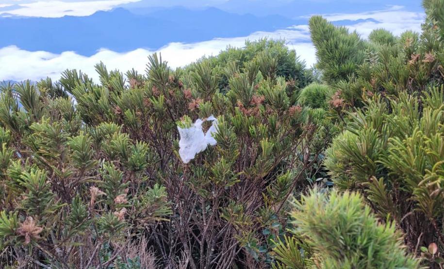 Descarte de dejetos e resíduos na natureza