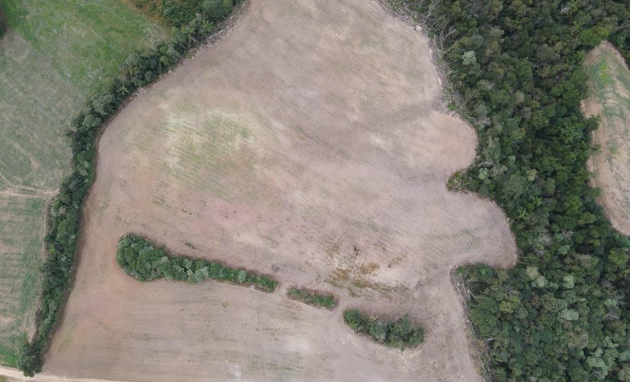 AREA DESMATADA EM VISTA AÉREA