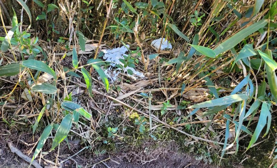 Descarte de dejetos e resíduos na natureza