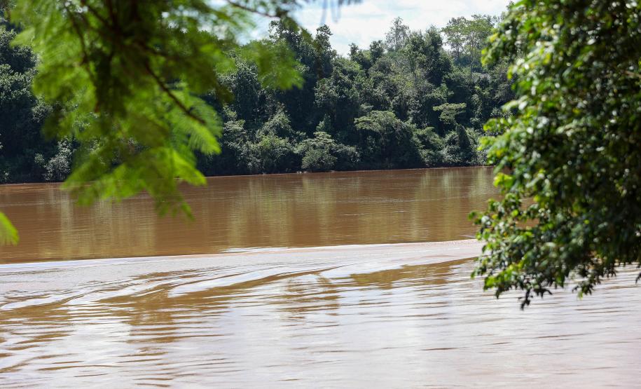 ECOSSISTEMA VISTA PLANA