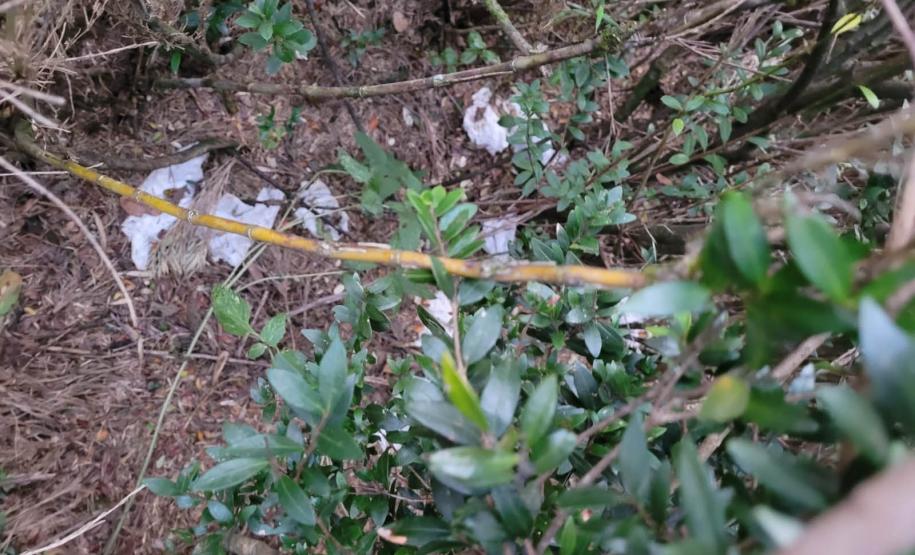 Descarte de dejetos e resíduos na natureza