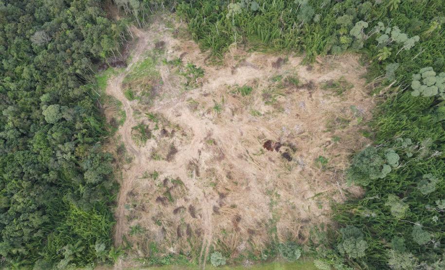 AREA DESMATADA EM VISTA AÉREA