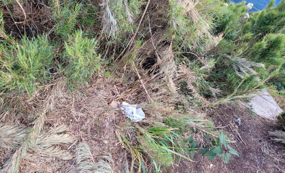 Descarte de dejetos e resíduos na natureza