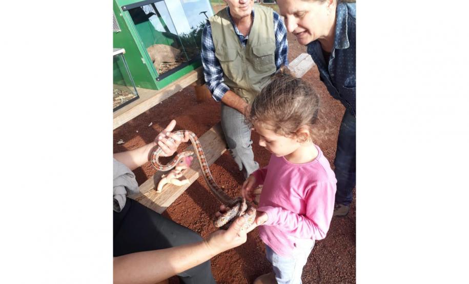 educação ambiental