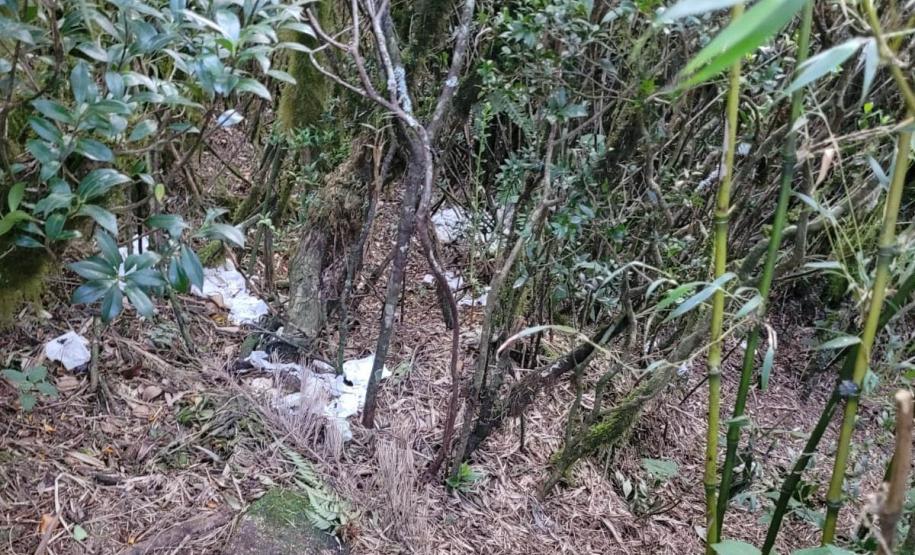 Descarte de dejetos e resíduos na natureza