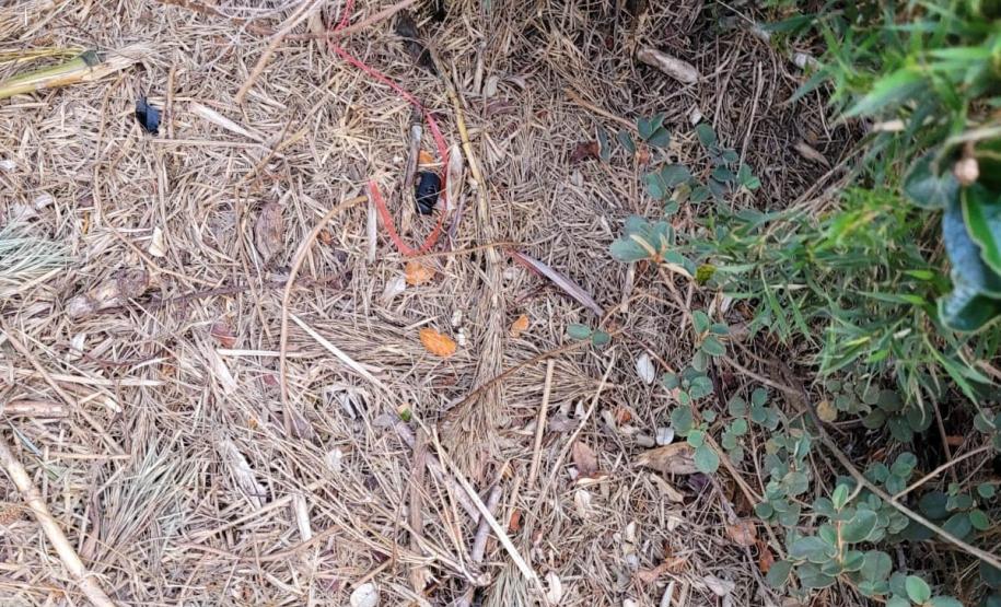 Descarte de dejetos e resíduos na natureza