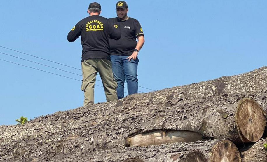 FISCAIS EM ATIVIDADE