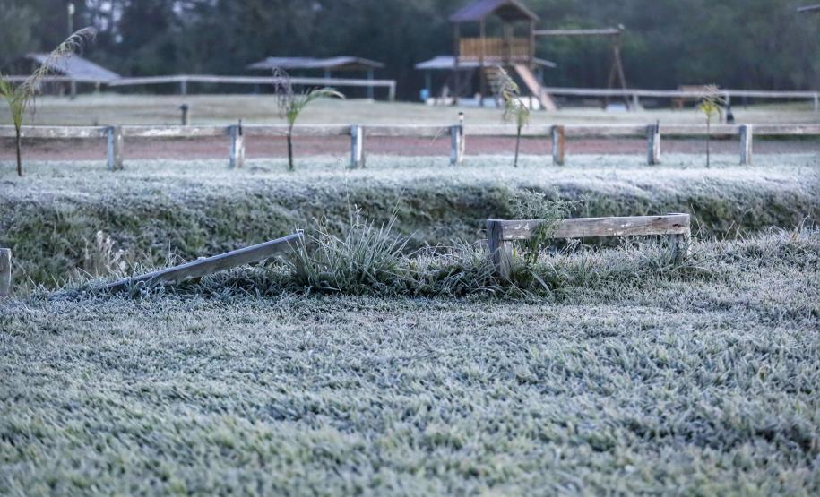 Foto de geada no Paraná
