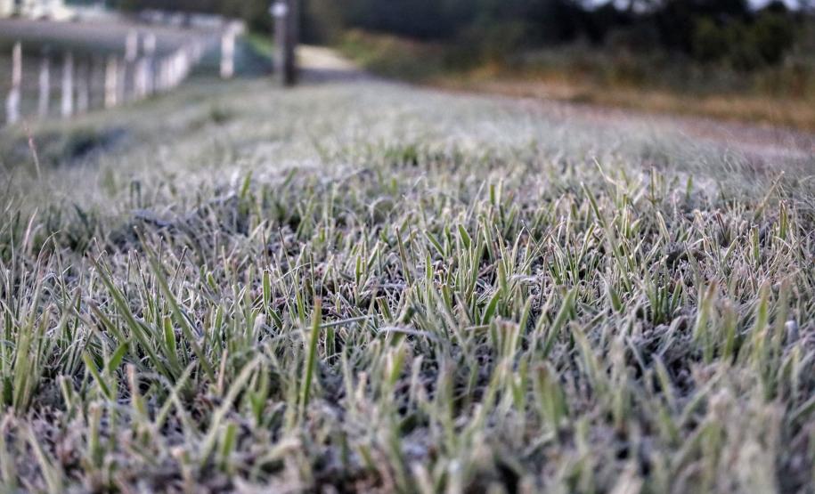 Foto de geada no Paraná