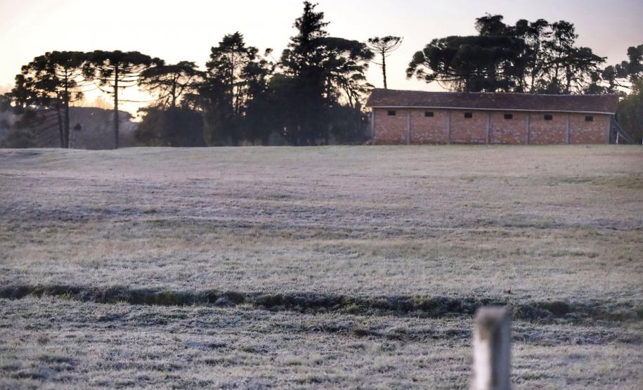 Foto de geada no Paraná