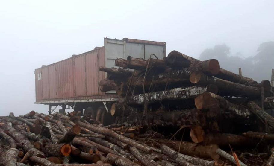 PILHA DE MADEIRA APREENDIDA