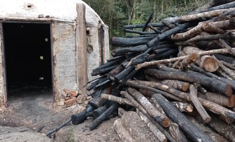 PILHA DE MADEIRA APREENDIDA