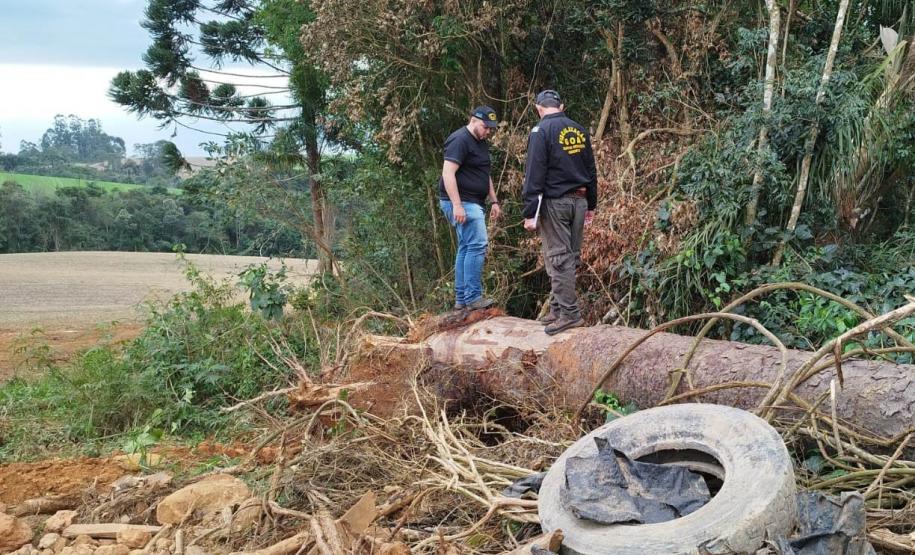 FISCAIS EM AMBIENTE DE TRABALHO