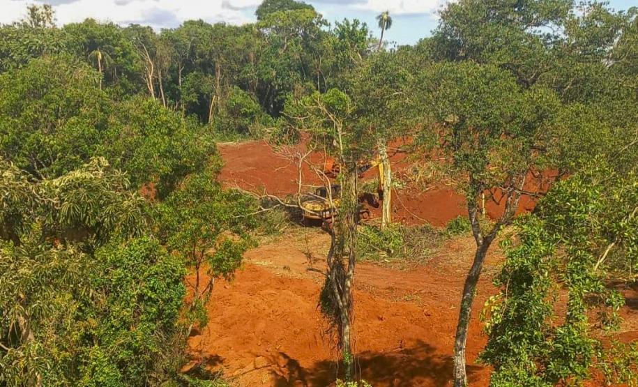 Foto de área desmatada