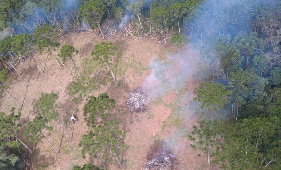 Foto de área desmatada