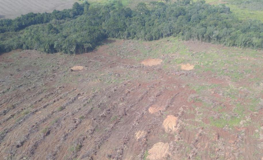 Foto de área desmatada