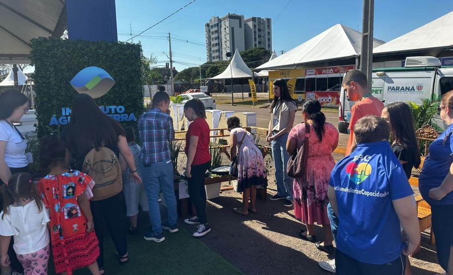 Foto de Jardim sensorial em Cianorte