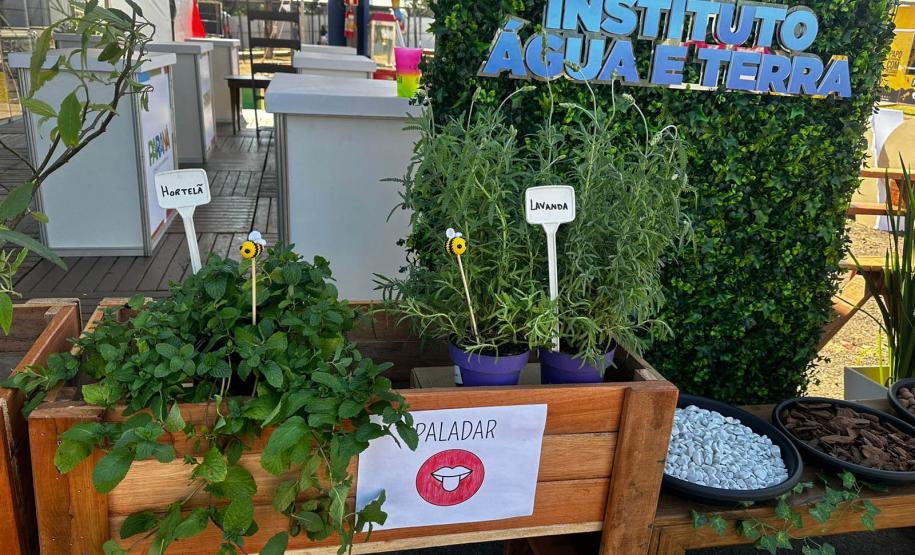 Foto de Jardim sensorial em Cianorte