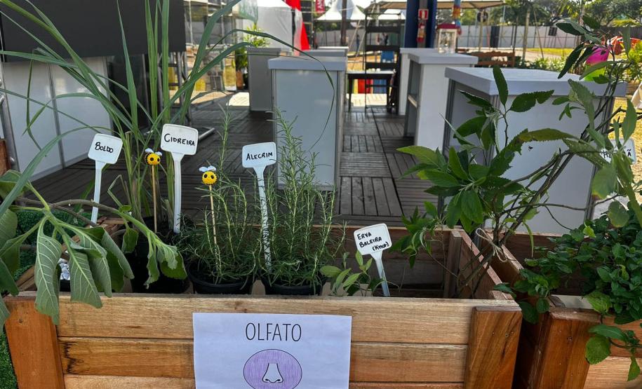 Foto de Jardim sensorial em Cianorte