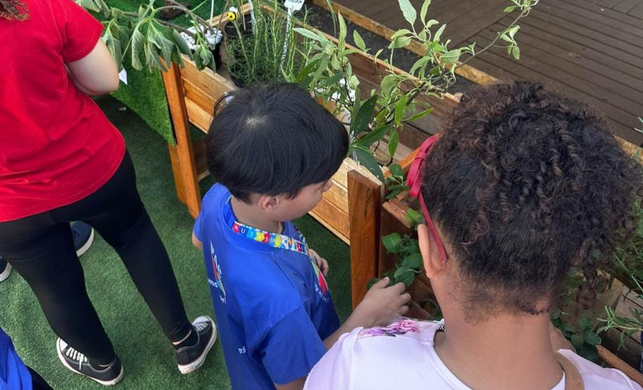 Foto de Jardim sensorial em Cianorte