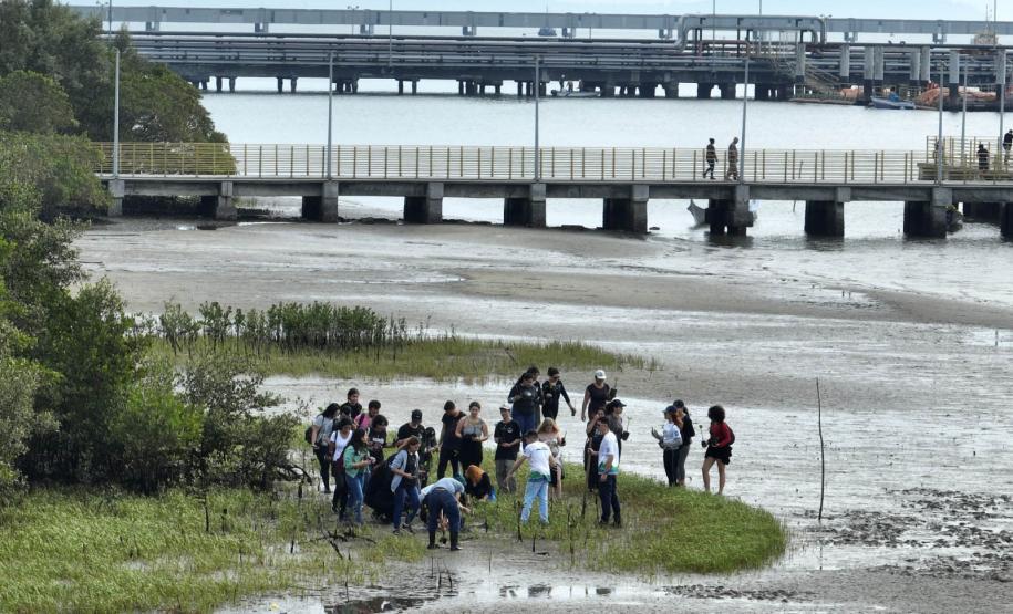 Foto de voluntários durante plantio de mudas