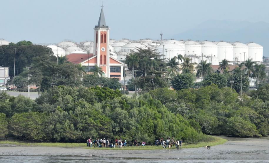 Foto de voluntários durante plantio de mudas