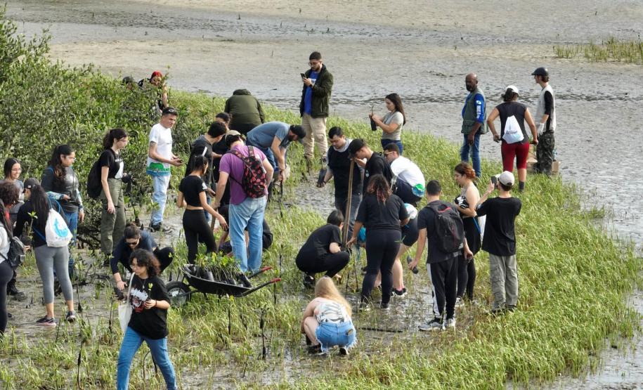 Foto de voluntários durante plantio de mudas