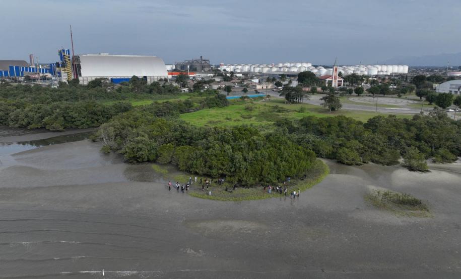 Foto de voluntários durante plantio de mudas