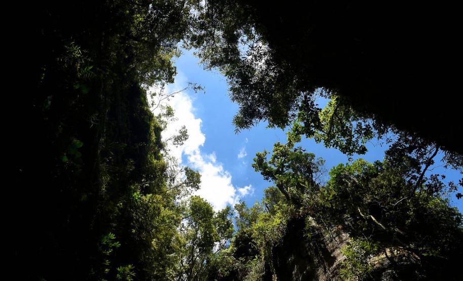 Foto do Parque Estadual do Monge