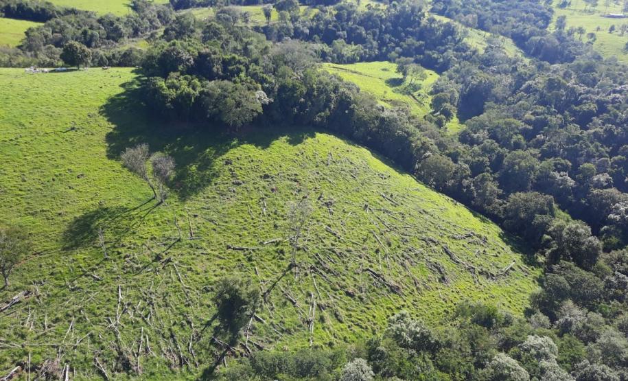 Foto de área desmatada