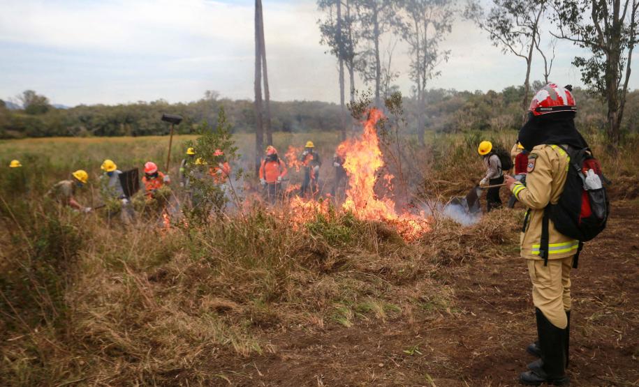 Foto de brigadistas durante capacitação