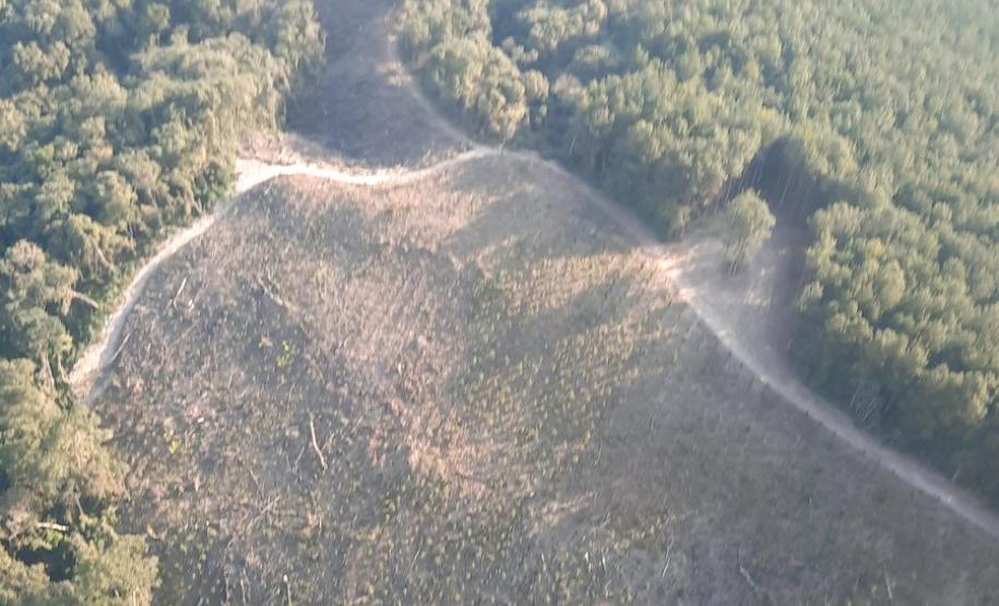 Foto de área desmatada