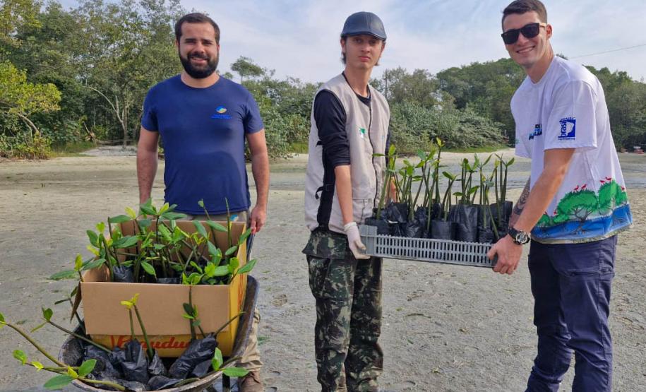 Foto de voluntários durante plantio de mudas