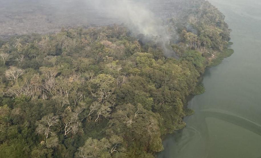 QUEIMADA EM MEIO VEGETAÇÃO