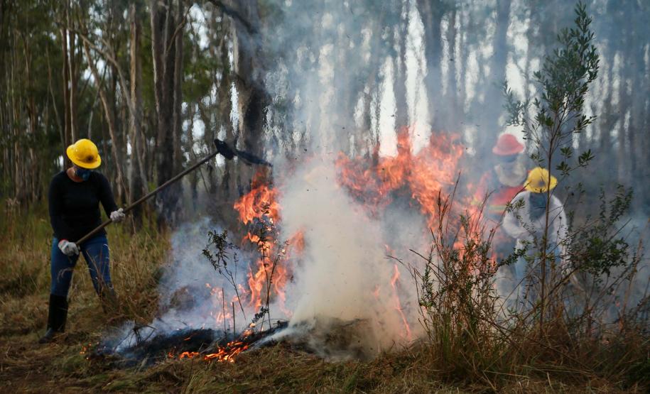 AGENTES CONTROLANDO FOGO